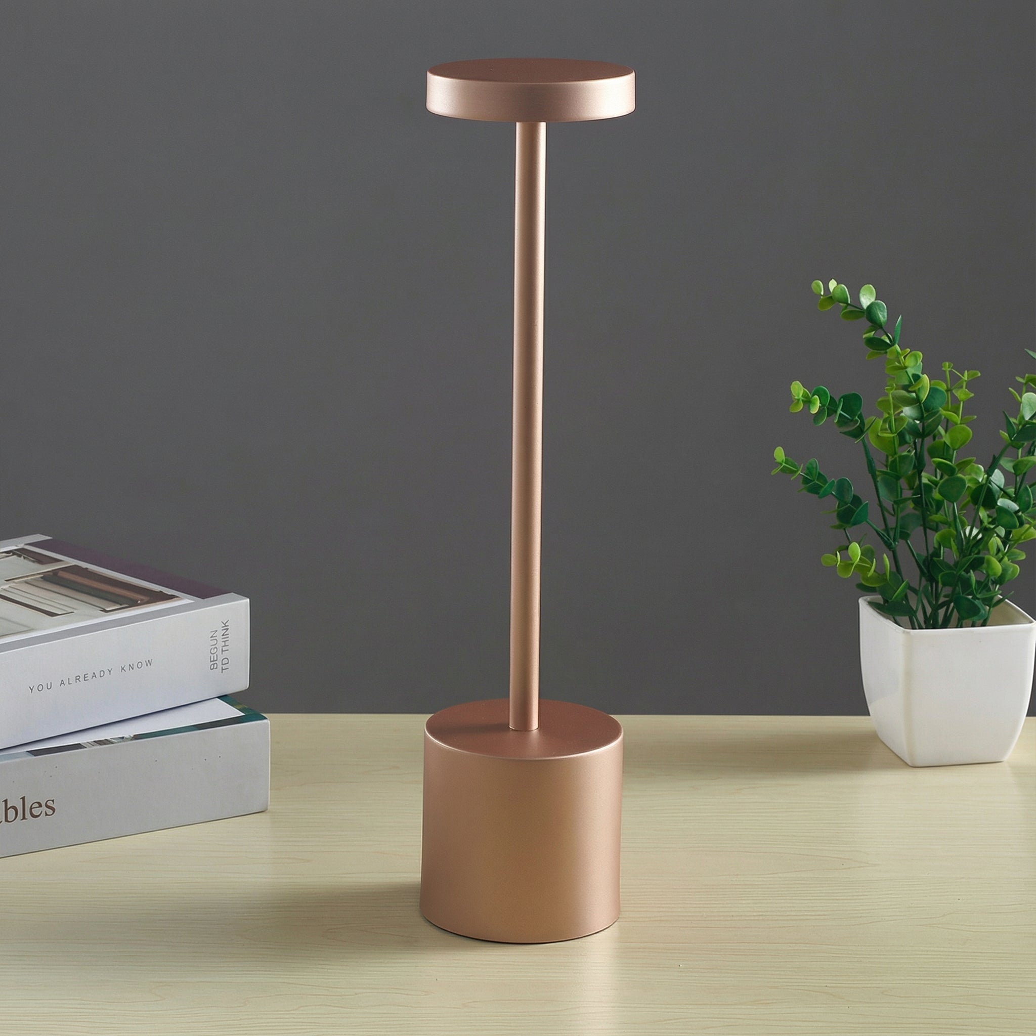 Freyza - LED Table Lamp Cordless Rechargeable 3-Color Touch Dimmable Metal 34cm / 13.4in