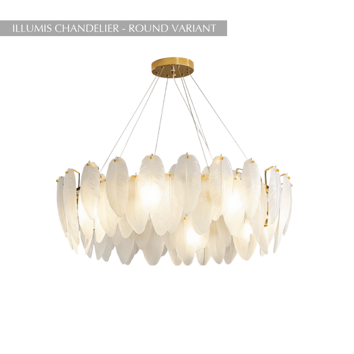 Freyza - Eleganter kronleuchter mit federinspiriertem Glasdesign