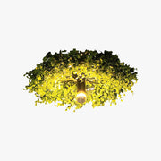 Freyza | Arko Plant Ceiling Flush Mount Ceiling Light – Bedroom Hallway Kitchen