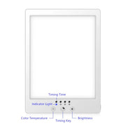 Bionic Solar Light | SAD Light Therapy Lamp with Stepless Dimming | Mood Enhancer for Seasonal Affective Disorder 2