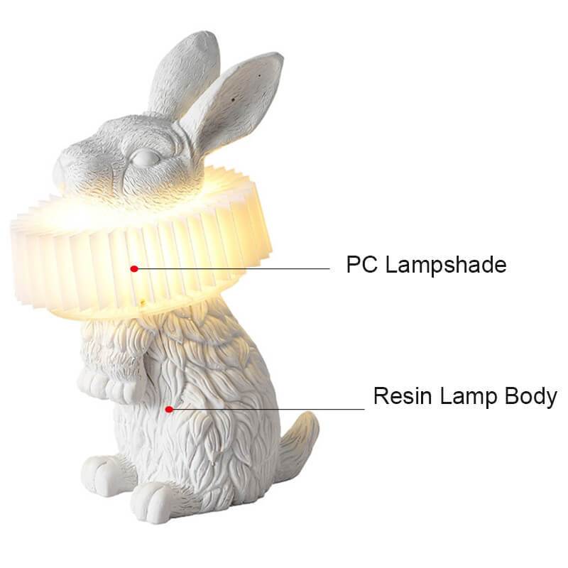 Creative Resin Table Lamp with Built-in LED Light | Modern Design for Bedroom and Living Room 11