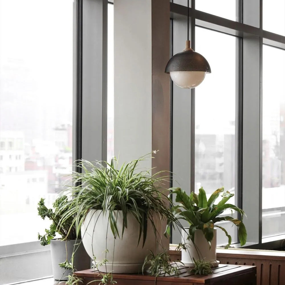 Freyza | Pith Dome Perforated Wood Pendant Light – Kitchen Dining Room