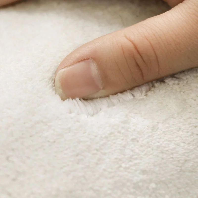 Elegant Plush Area Rug | Soft Fluffy Floor Mat with Custom Sizes | Ideal for Cozy Living Rooms 4