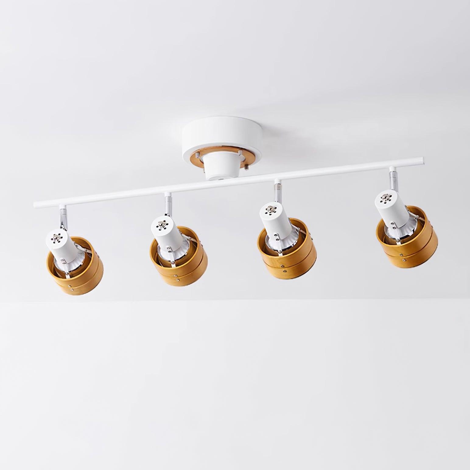 Freyza | Plafonnier Daven réglable à 4 lumières, montage affleurant – chambre, couloir, cuisine