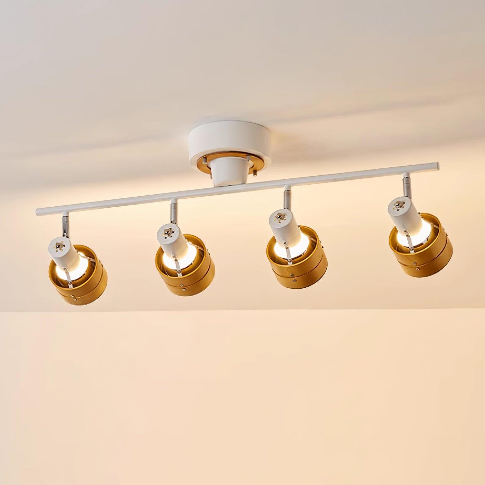 Freyza | Plafonnier Daven réglable à 4 lumières, montage affleurant – chambre, couloir, cuisine
