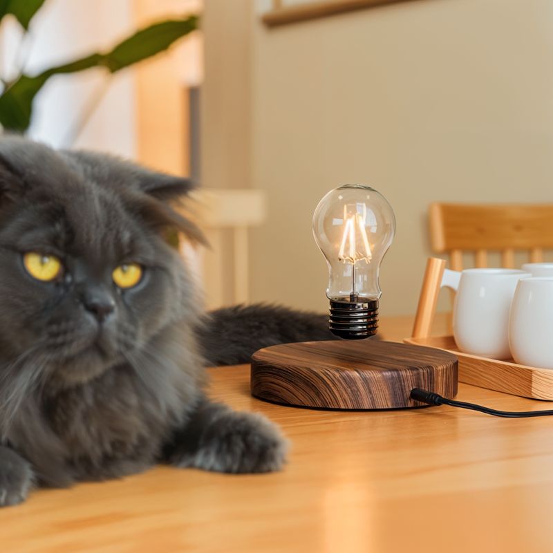 Levitas | Stylish Modern Levitating Table Lamp with Warm LED Light 5