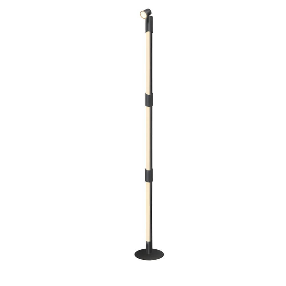 Luminara | Modern Black RGB Rotating Floor Lamp with Remote Control 4