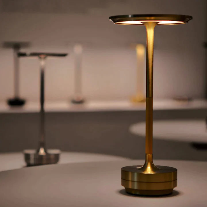 Luminous Lamp | LED Floor Lamp with Adjustable Brightness | Elegant Lighting for Home Ambiance 0
