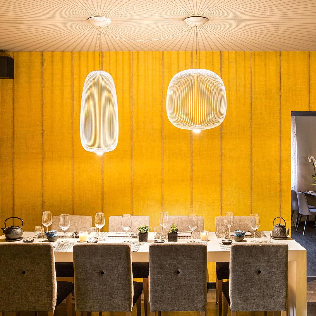 Freyza | Luminaire suspendu Aero à rayons légers – Cuisine et salle à manger