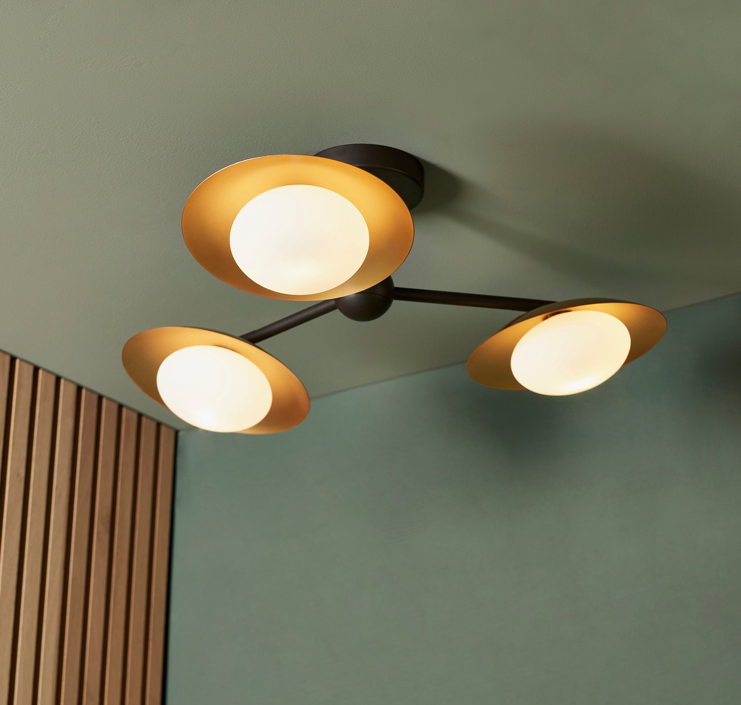 Freyza - Amos Barcelo Flush Ceiling Light