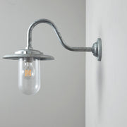 Freyza - Davey Lighting Galvanised Exterior Swan Neck Wall Light 7677, Clear Glass