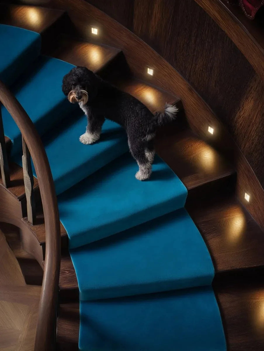 AabanLight | Stylish Durable LED Motion Sensor Stair Lights Indoor 5