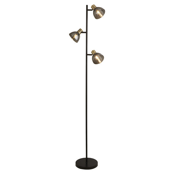 Freyza - Elisa Smoked Glass Task Floor Lamp