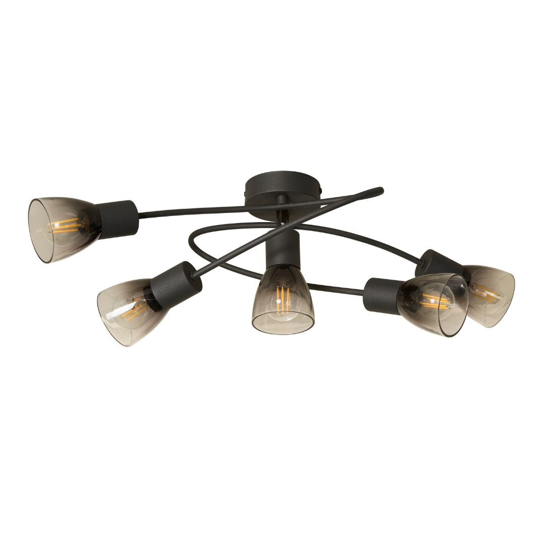 Freyza - Glenview 5 Light Black Flush Ceiling Light