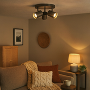 Freyza - Hereford 3 Light Pewter & Antique Brass Spotlight Flush Ceiling Light