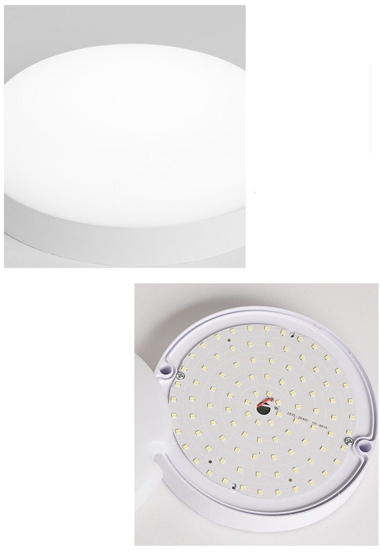 Freyza - Keaton - Waterproof Ceiling Light