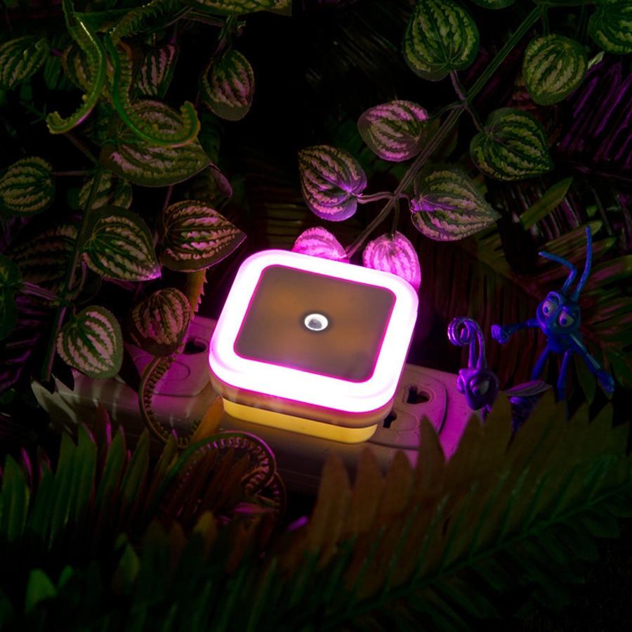 Freyza - Lux - Veilleuses LED