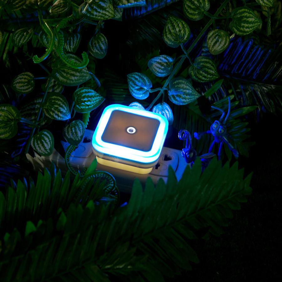 Freyza - Lux - Veilleuses LED