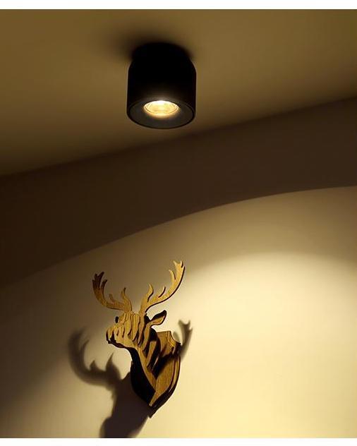 Freyza - Sere - LED Down Spotlight