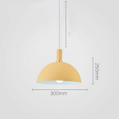 Freyza - Modern Nordic Round Lampshade Hanging Light