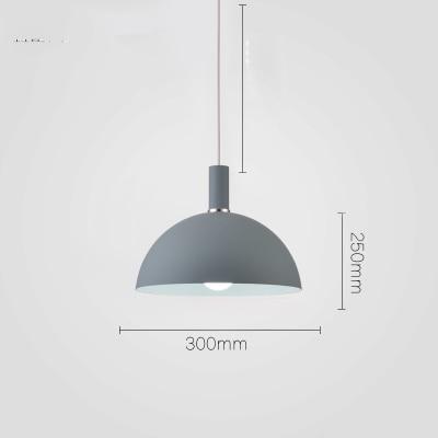 Freyza - Modern Nordic Round Lampshade Hanging Light