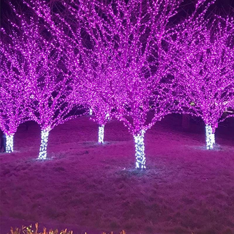 Freyza - Trixie - Guirlande lumineuse féerique à LED solaire