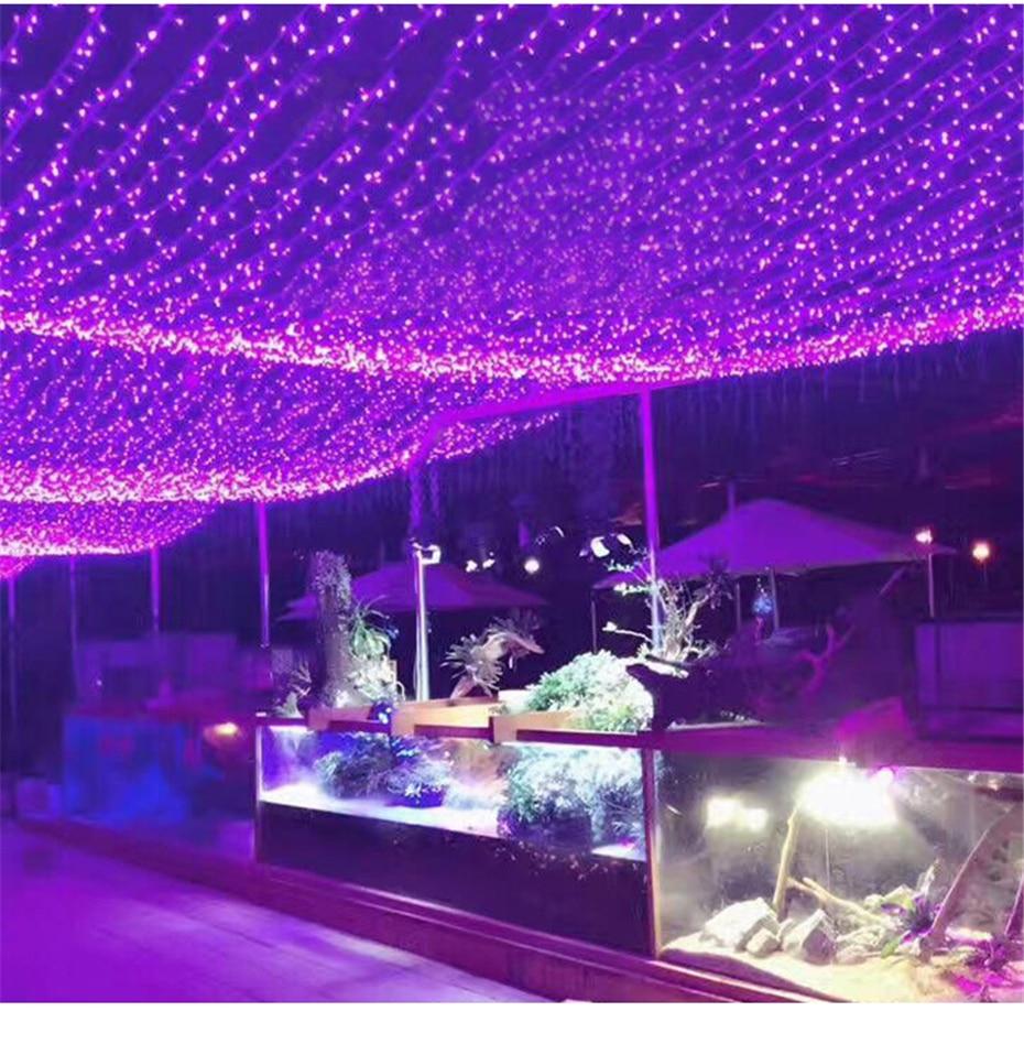 Freyza - Trixie - Guirlande lumineuse féerique à LED solaire