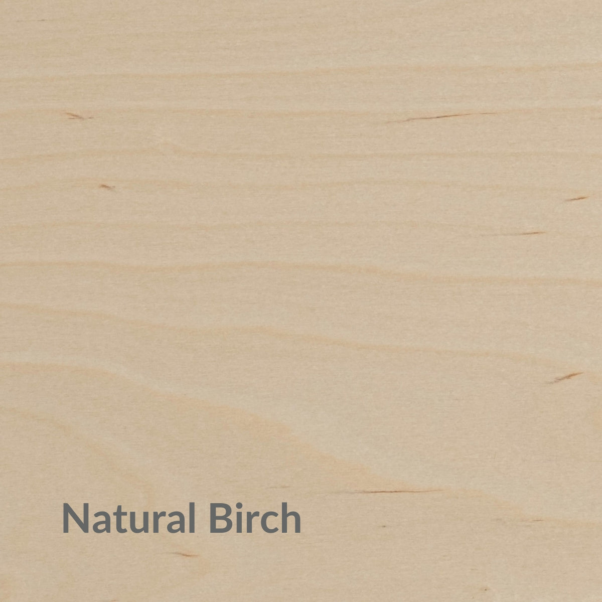 AlliumGlow | Unique Sculptural Birch Table Lamp Design 8